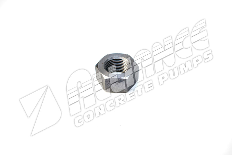 NUT – HD OUTLET