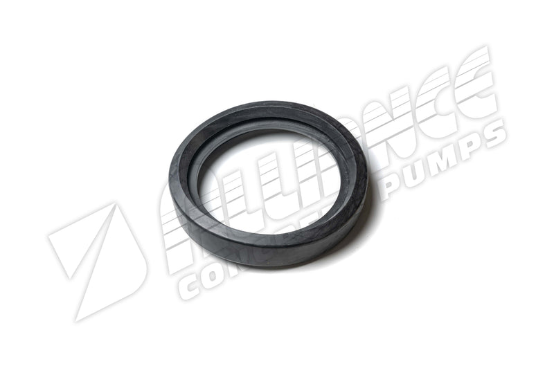 PUTZ 5″ METRIC “T GASKET” W/ LIP