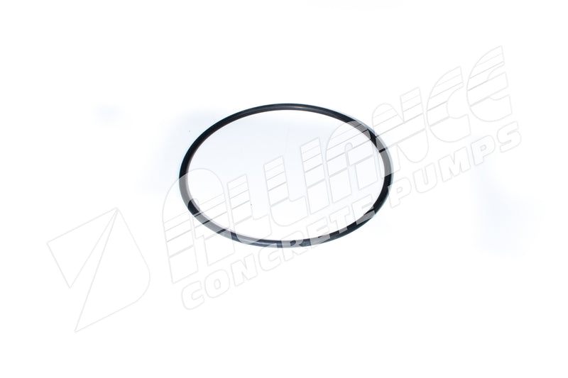 O-RING FOR SUCTION FILTER CAP (REQUIRES 1)