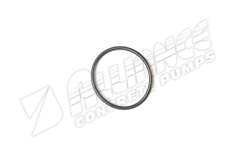 SCHWING O-RING 10000677