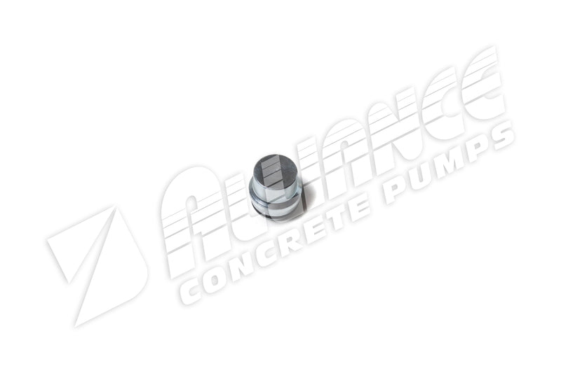 BLANKING PLUG 18L