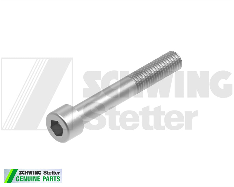 Screw Din 912 M 10 X 70-8.8-Vzd | Weight: 2 lbs | Brand: SCHWING