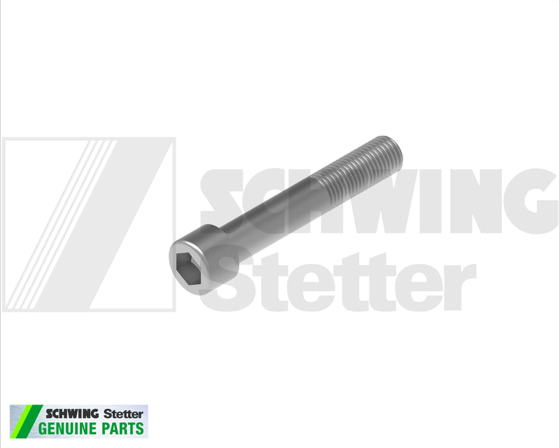 Screw Din 912 M 12 X 80-8.8-Vzd | Weight: 2 lbs | Brand: SCHWING