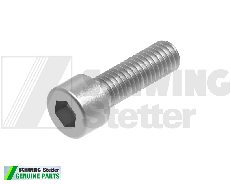 Screw Din 912 M  6 X 20-8.8-Vzd | Weight: 2 lbs | Brand: SCHWING