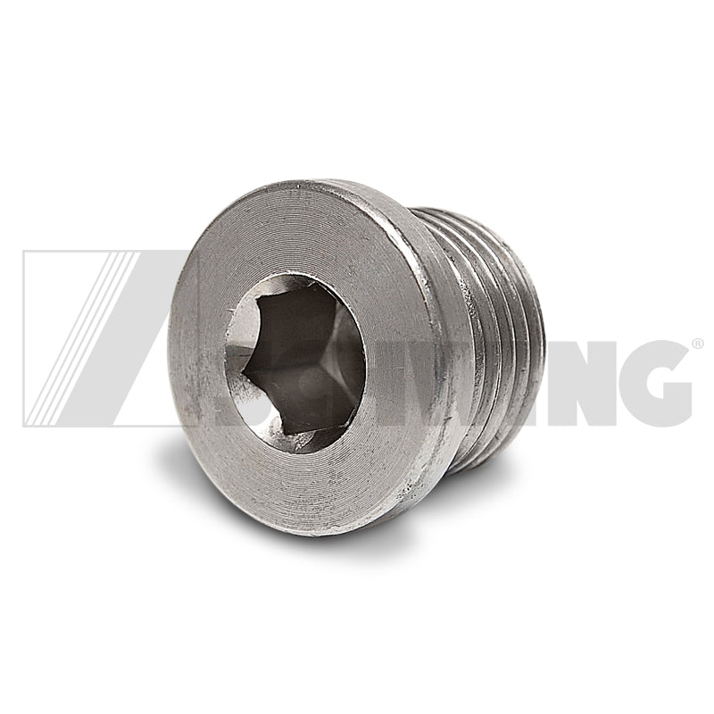 Screw Din 908 G 1/2 A-St-Vzd | Weight: 2 lbs | Dimensions: 25 X 25 X 18 MM | Brand: SCHWING