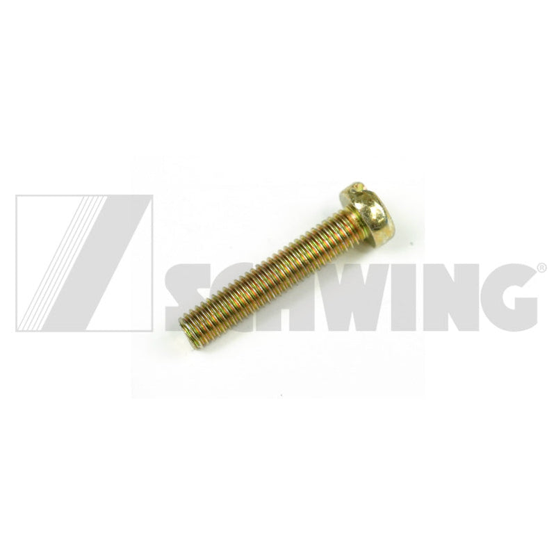 Screw Din 84 M  5 X 25-5.8-Vzd | Weight: 2 lbs | Brand: SCHWING