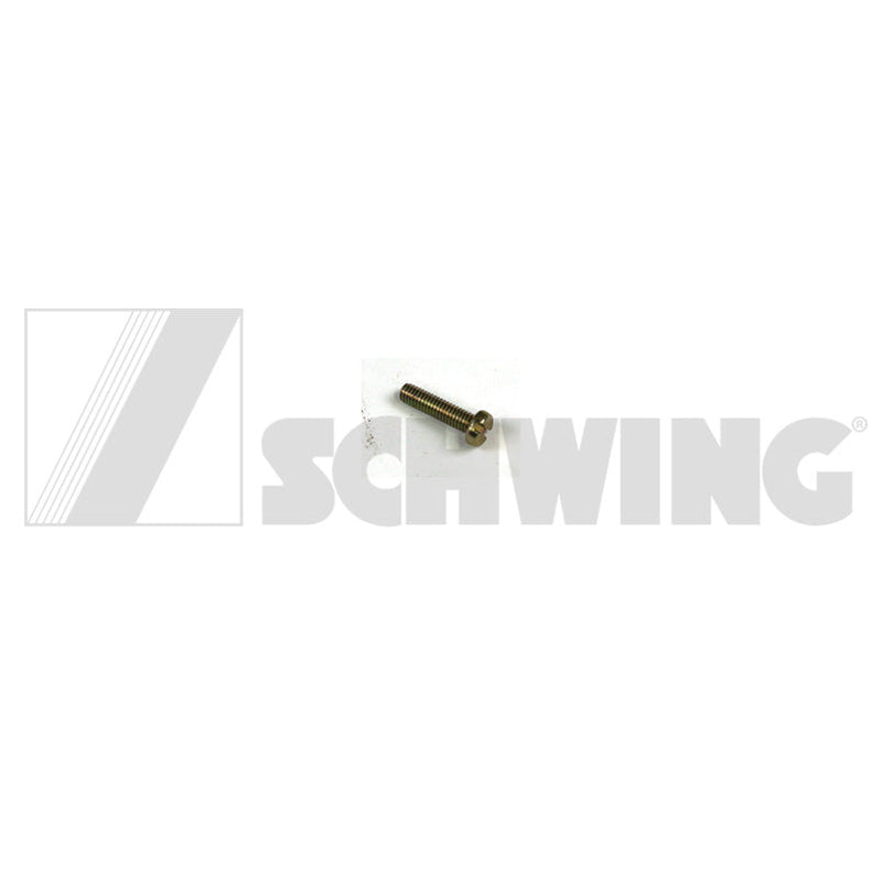 Screw Din 84 M  4 X 20-4.8-Vzd | Weight: 1 lbs | Brand: SCHWING