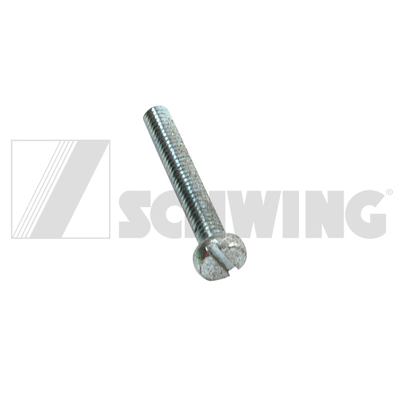 Screw Din 84 M  4 X 25-5.8-Vzd | Weight: 2 lbs | Dimensions: 28 X 7 X 7 MM | Brand: SCHWING