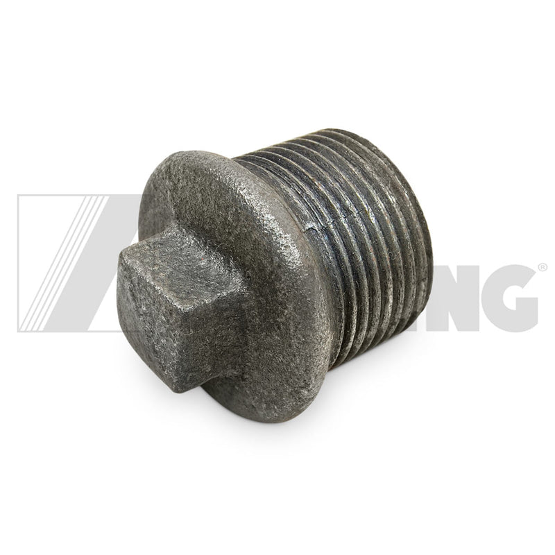 Plug En 10242 T9-  3/4-Fe-A | Weight: 2 lbs | Dimensions: 35 X 35 X 35 MM | Brand: SCHWING