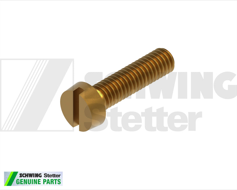 Screw Din 84 M  5 X 30-Ms | Weight: 2 lbs | Brand: SCHWING