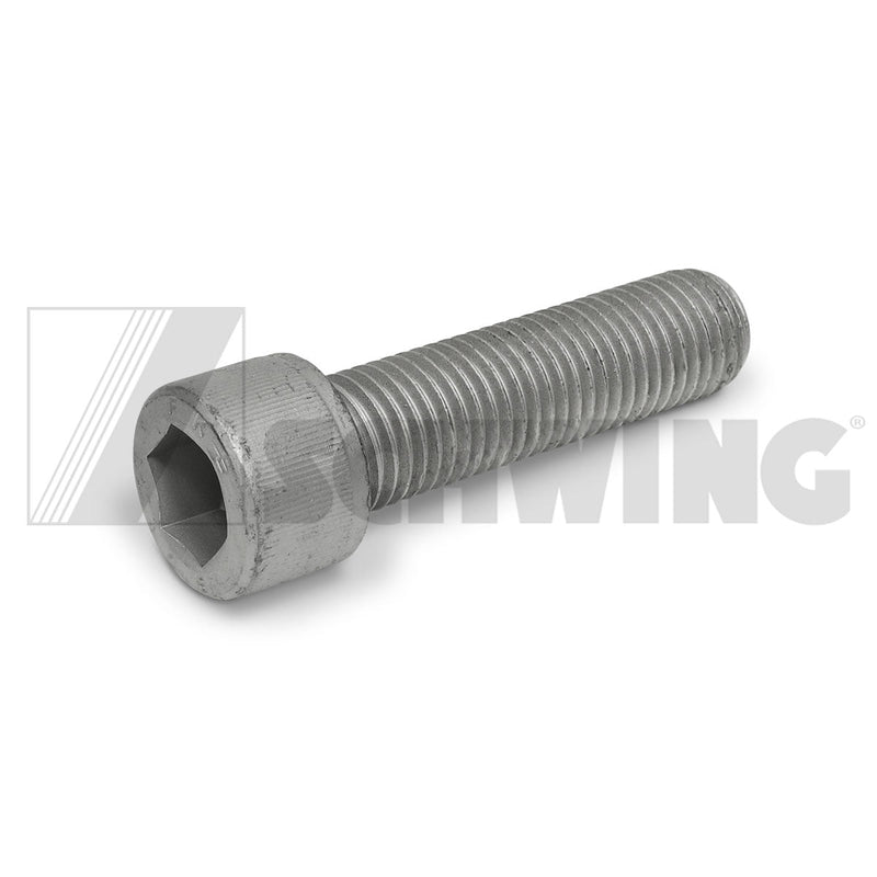 Screw Din 912 M 20 X 75-10.9-Zfshl | Weight: 2 lbs | Dimensions: 95 X 30 X 30 MM | Brand: SCHWING