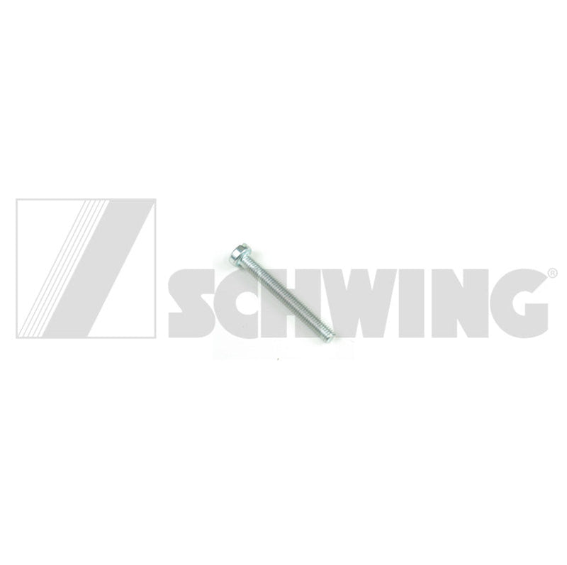Screw Din 84 M  5 X 40-5.8-Vzd | Weight: 2 lbs | Brand: SCHWING