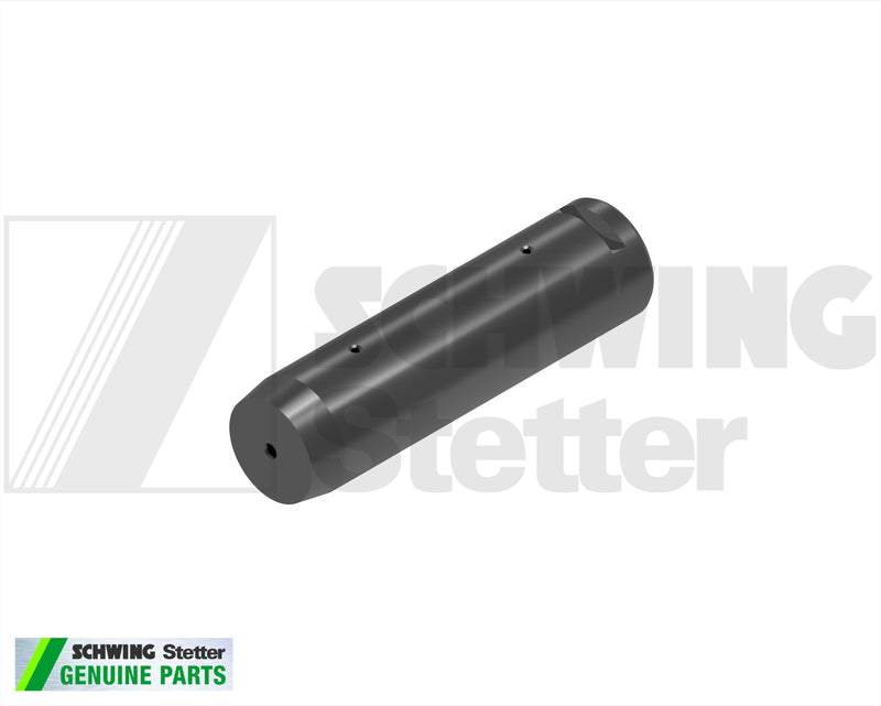 Pin - 80 X 293 | Weight: 26 lbs | Dimensions: 293 X 80 X 80 MM | Brand: SCHWING