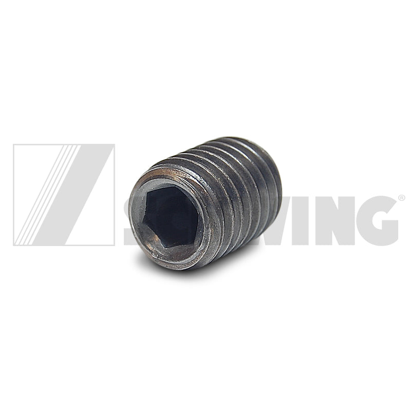 Pin - M 12 X 16 45 H Din 913 Threaded | Weight: 2 lbs | Dimensions: 12 X 12 X 12 MM | Brand: SCHWING
