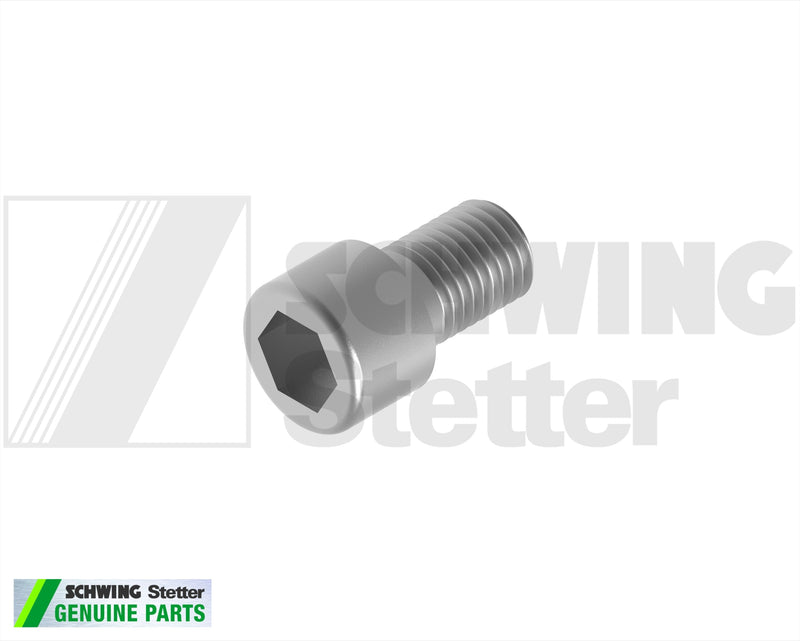 Screw Din 912 M 16 X 25-8.8-Vzd | Weight: 2 lbs | Brand: SCHWING