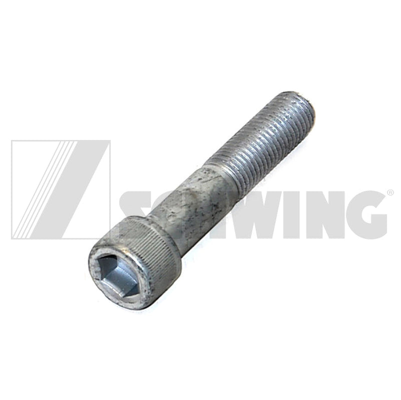 Screw Din 912 M 20 X100-12.9-Zfshl | Weight: 2 lbs | Dimensions: 120 X 30 X 30 MM | Brand: SCHWING