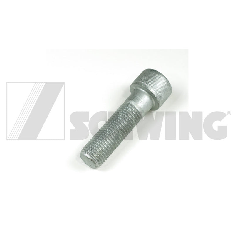 Screw Din 912 M 22 X 80-12.9 | Weight: 2 lbs | Brand: SCHWING