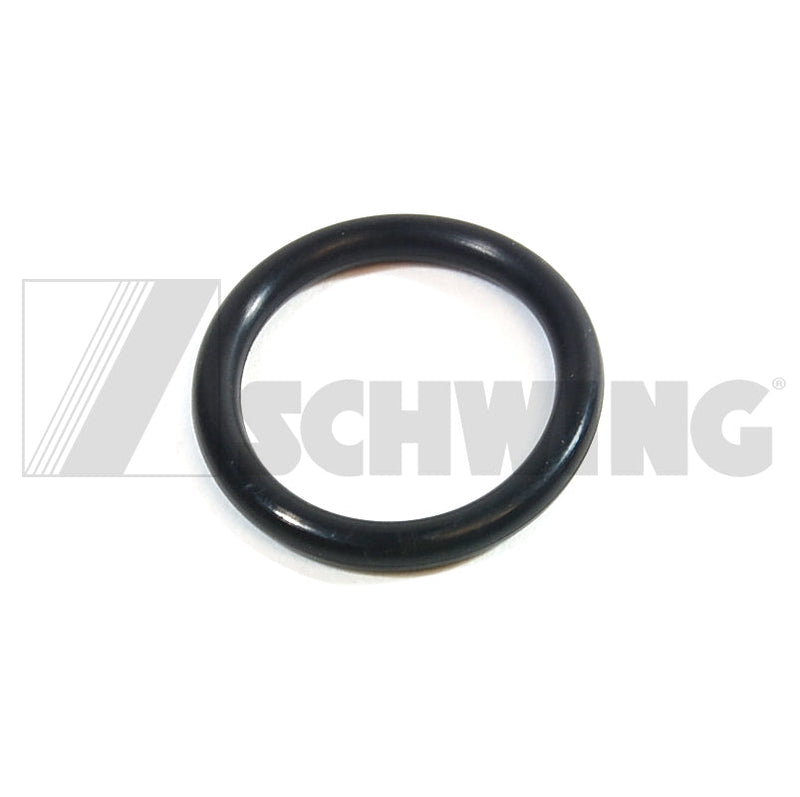 O-Ring  23.39 X  3.53 Nbr 90 | Weight: 2 lbs | Dimensions: 30 X 30 X 4 MM | Brand: SCHWING