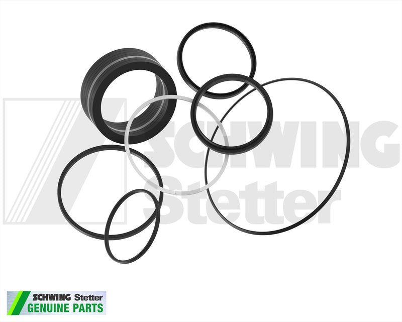 Sealing Set F. Diff.-Cyl. 120/ 80 | Weight: 3 lbs | Brand: SCHWING