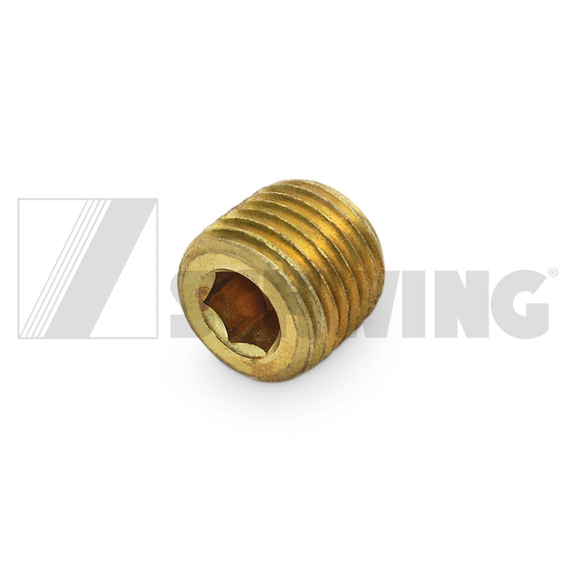 Fitting - Water, Plug 1/4"  Npt | Weight: 2 lbs | Dimensions: 12 X 12 X 12 MM | Brand: SCHWING