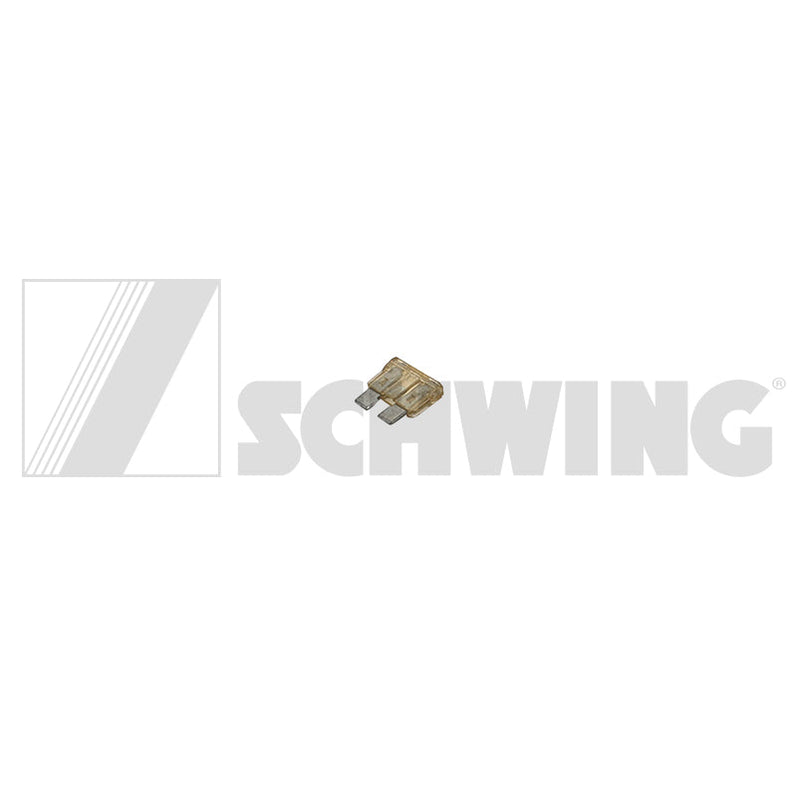Fuse Spade Tp 25 Amp | Weight: 1 lbs | Dimensions: 4 X 20 X 20 MM | Brand: SCHWING